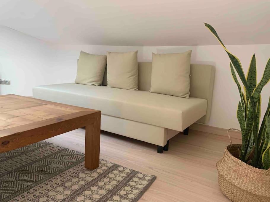 La Pau Apartaments Mollerusa Exteriér fotografie